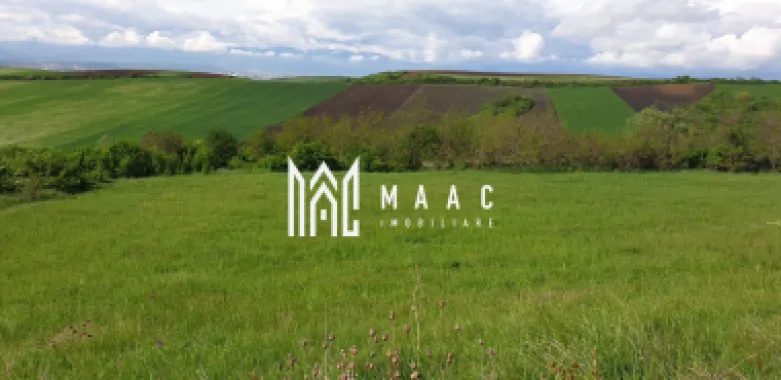 Logo MAAC IMOBILIARE logo