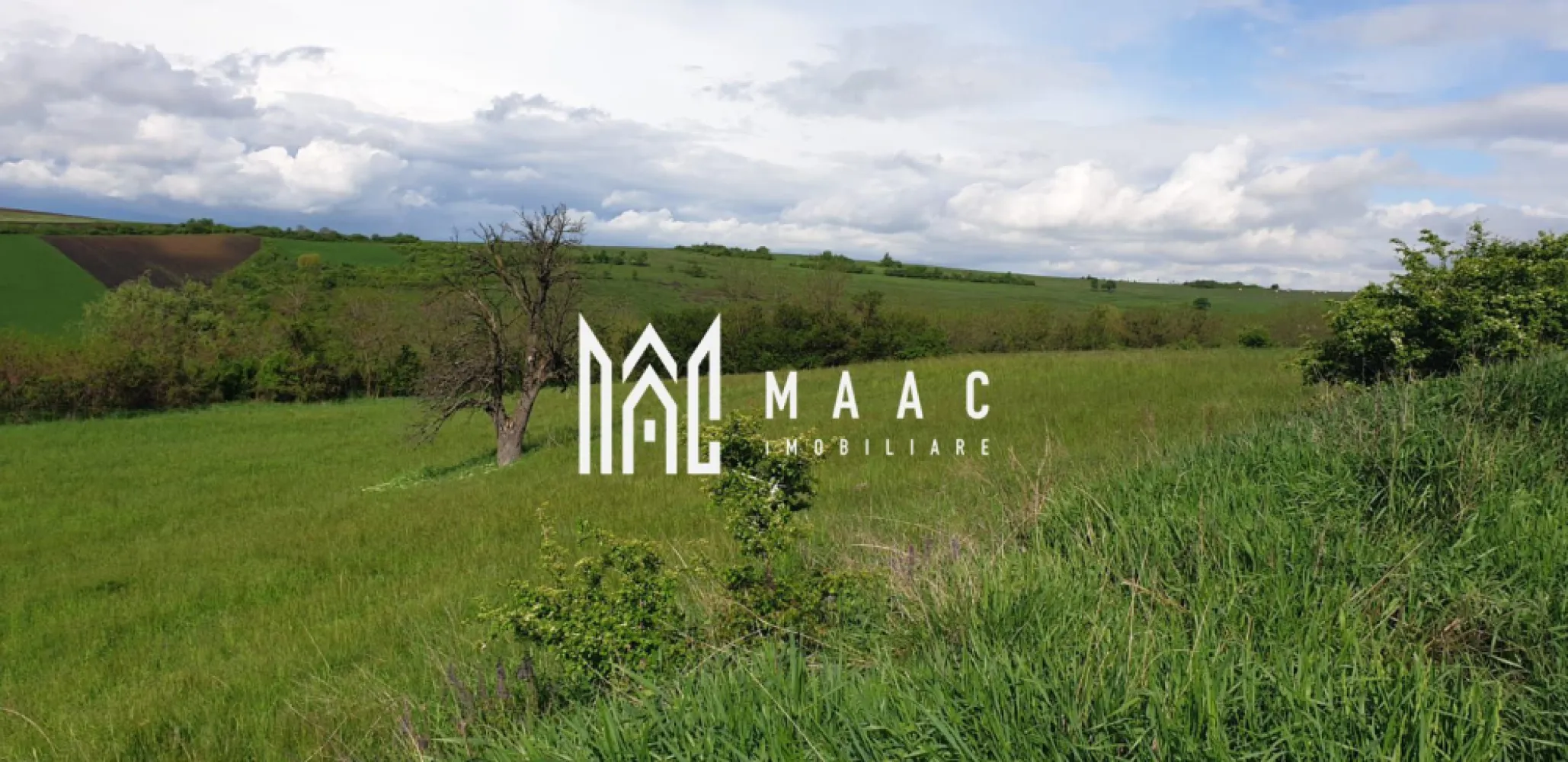 Teren | S+P+E | S+P+M | Intravilan | 9826 MP | Sura Mare - MAAC Imobiliare va prezinta un teren intravilan in Sura Mare cu suprafata de 9.826 MP. Cu o suprafață de 9.826 metri pătrați, acest teren oferă o paletă largă de posibilități pentru dezvoltare cu potențial de construcție cu un coeficient de ocupare a terenului (POT) de 40%. Conform certificatului de urbanism, terenul permite construcții variate, incluzând structuri pe trei niveluri - S+P+E sau S+P+M. Această flexibilitate oferă un cadru propice pentru proiecte rezidențiale, unități de învățământ, comerciale sau turistice. Acest teren este potrivit pentru construirea de unități de învățământ, spații comerciale, servicii, restaurante, facilități turistice și locuri de cult. Cu căi de acces, terenul asigură conexiuni ușoare către principalele drumuri și orașe din împrejurimi. O altă caracteristică a acestui teren este posibilitatea de a realiza amenajări specifice, subliniind frumusețea naturală a locației. Pentru mai multe detalii, precizati telefonic ca ati vazut anuntul cu ID CP1950393 }}