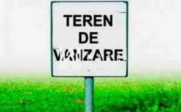 Teren extravilan | 7.800 mp | Saliste