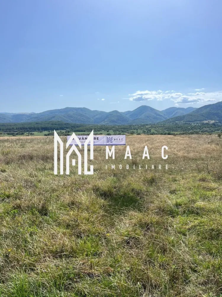 Teren extravilan | 7.800 mp | Saliste