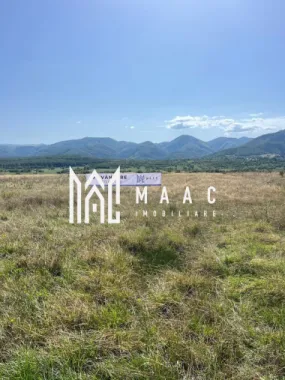 Teren extravilan | 7.800 mp | Saliste