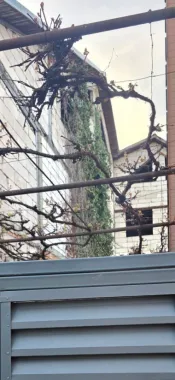 Logo DIREKT IMOBILIARE logo