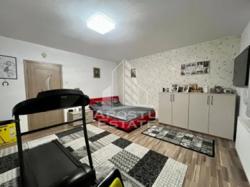 Doua apartamente de vanzare la curte comuna,zona Traian, Timisoara