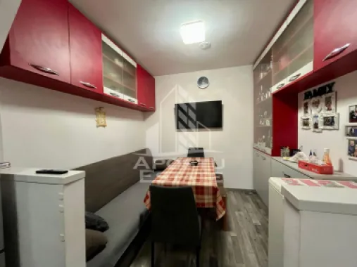 Doua apartamente de vanzare la curte comuna,zona Traian, Timisoara