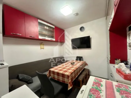 Doua apartamente de vanzare la curte comuna,zona Traian, Timisoara