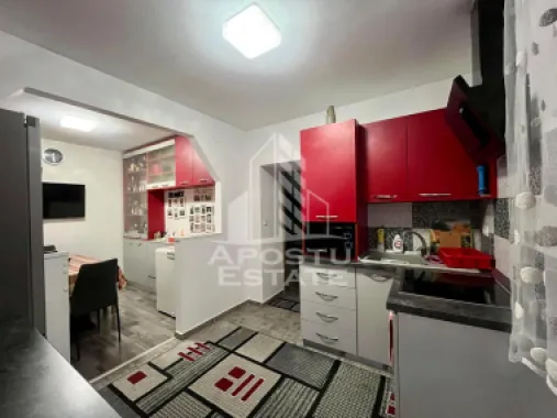 Doua apartamente de vanzare la curte comuna,zona Traian, Timisoara