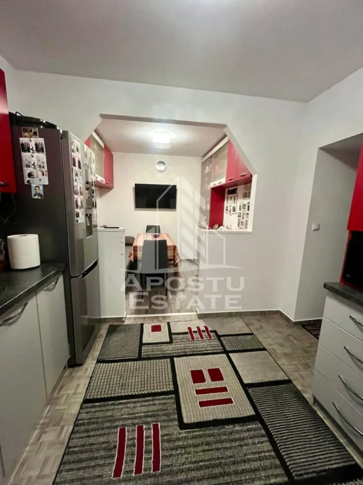 Doua apartamente de vanzare la curte comuna,zona Traian, Timisoara