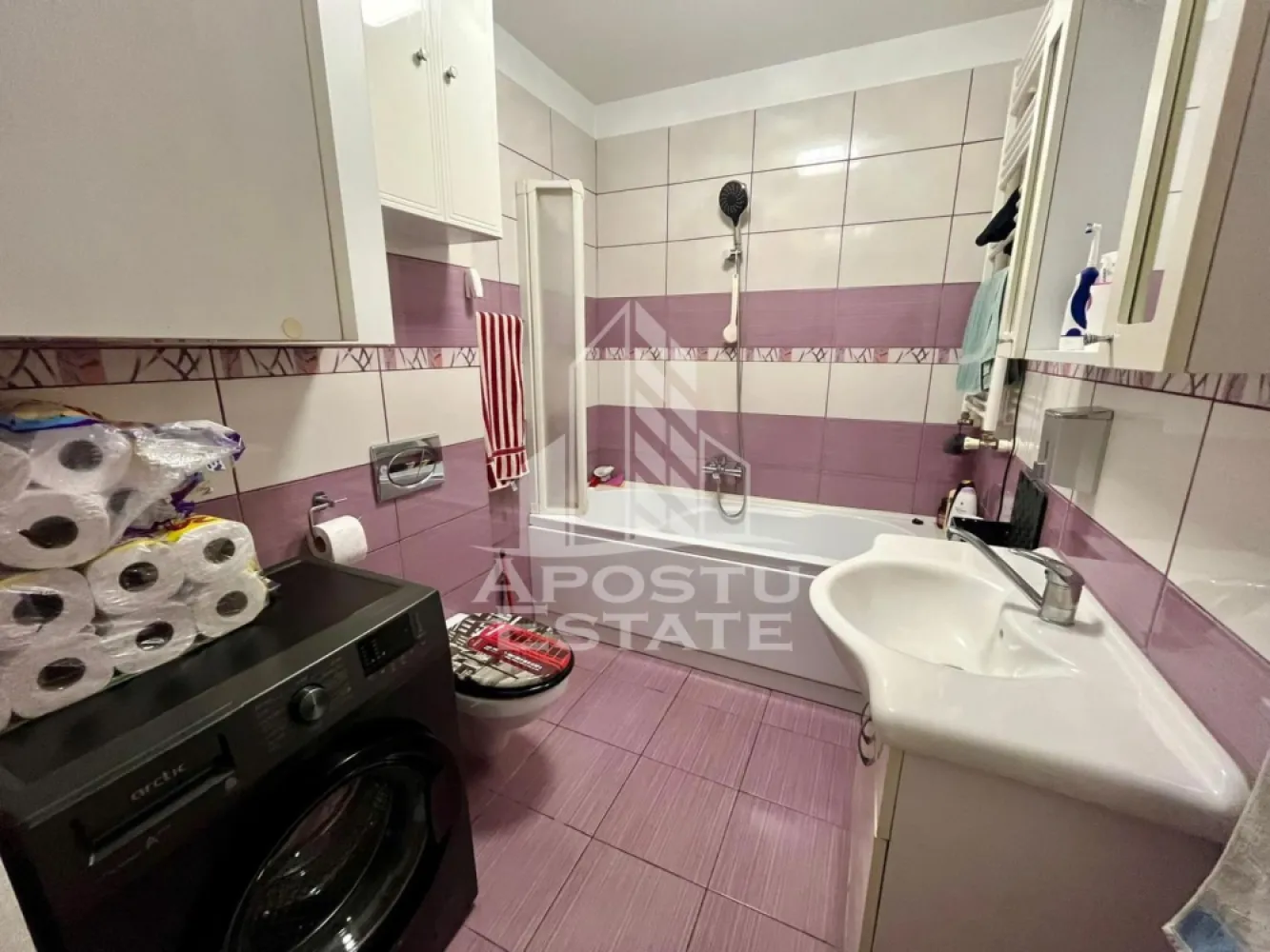 Doua apartamente de vanzare la curte comuna,zona Traian, Timisoara
