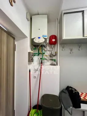 Doua apartamente de vanzare la curte comuna,zona Traian, Timisoara