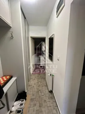 Doua apartamente de vanzare la curte comuna,zona Traian, Timisoara