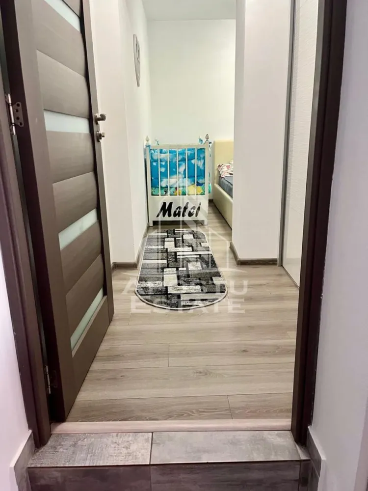 Doua apartamente de vanzare la curte comuna,zona Traian, Timisoara