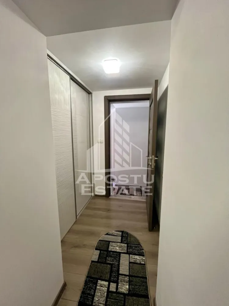 Doua apartamente de vanzare la curte comuna,zona Traian, Timisoara