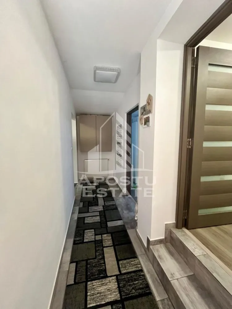 Doua apartamente de vanzare la curte comuna,zona Traian, Timisoara