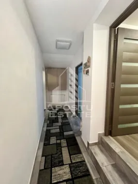Doua apartamente de vanzare la curte comuna,zona Traian, Timisoara