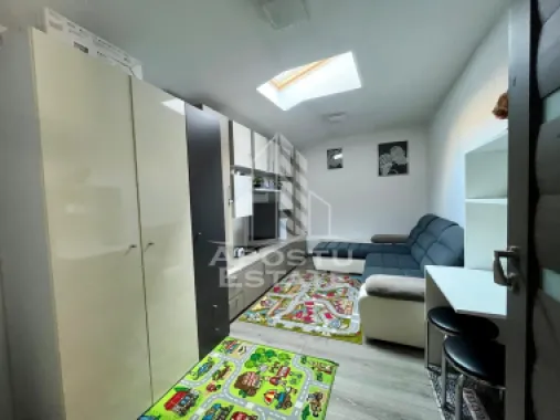 Doua apartamente de vanzare la curte comuna,zona Traian, Timisoara