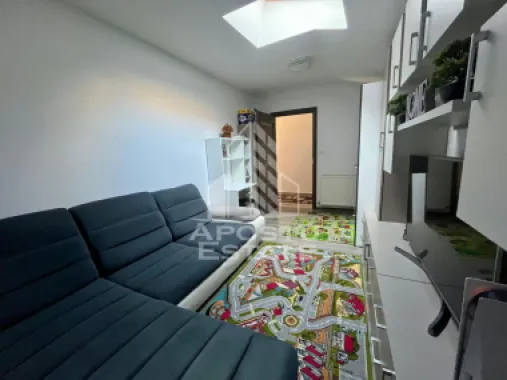 Doua apartamente de vanzare la curte comuna,zona Traian, Timisoara