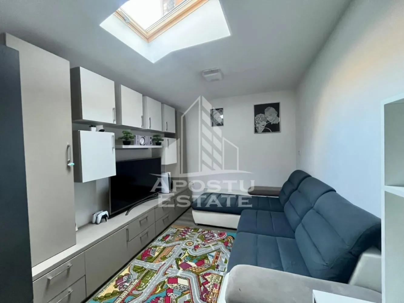 Doua apartamente de vanzare la curte comuna,zona Traian, Timisoara