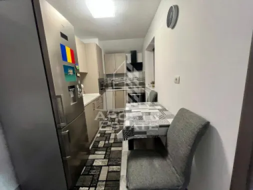 Doua apartamente de vanzare la curte comuna,zona Traian, Timisoara