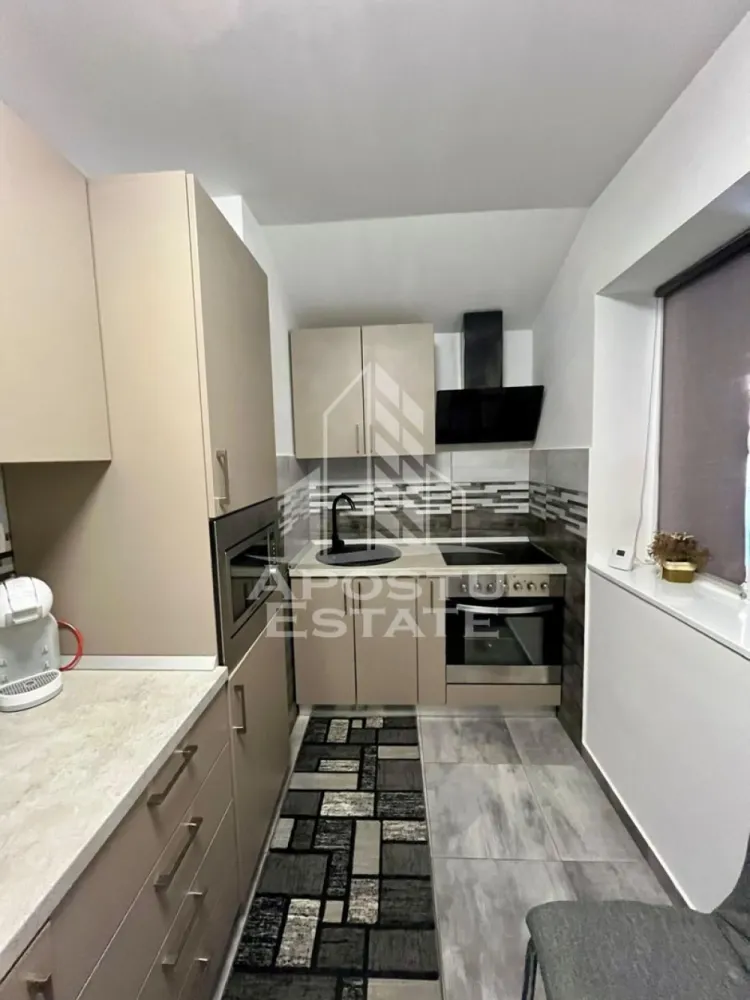 Doua apartamente de vanzare la curte comuna,zona Traian, Timisoara