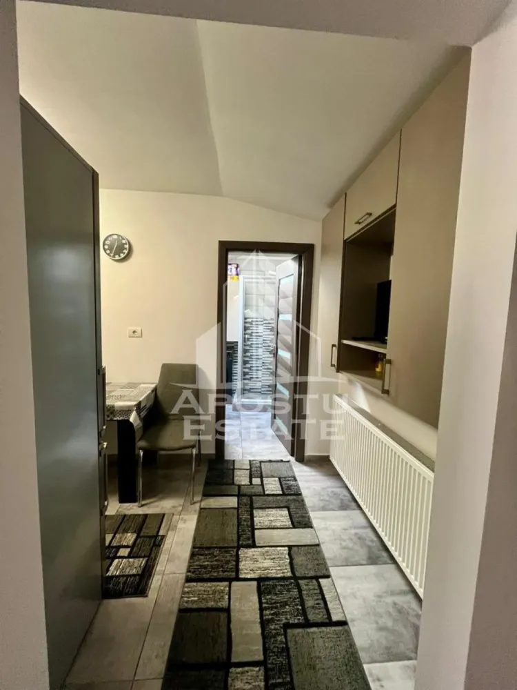 Doua apartamente de vanzare la curte comuna,zona Traian, Timisoara