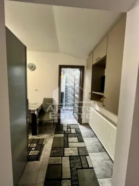 Doua apartamente de vanzare la curte comuna,zona Traian, Timisoara