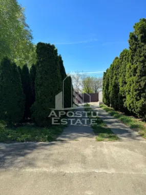 Casa de vanzare cu piscina si 5 camere in Dinias, Timis