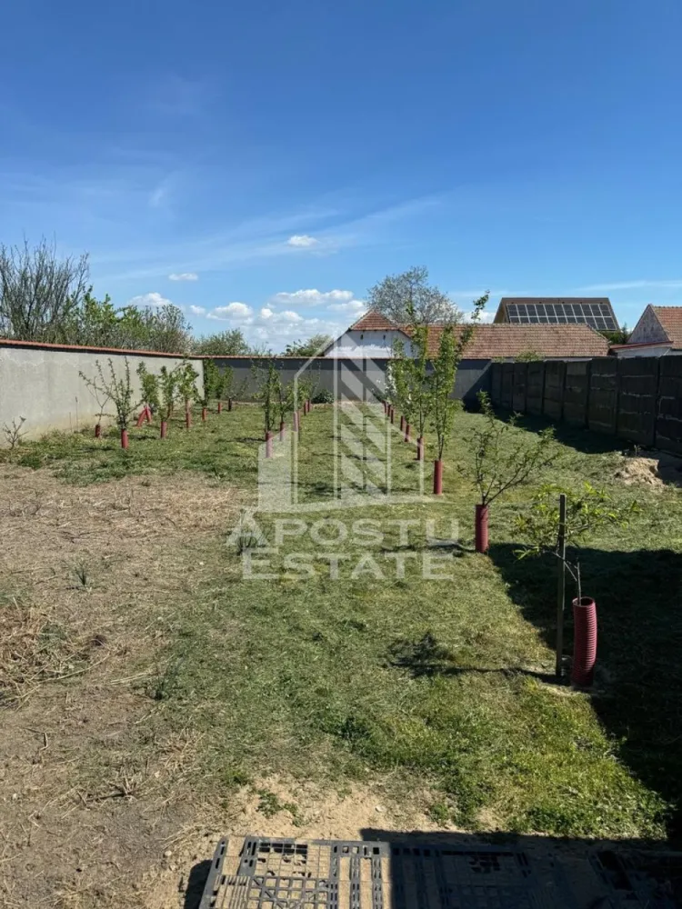 Casa de vanzare cu piscina si 5 camere in Dinias, Timis