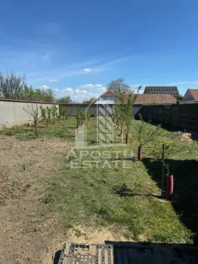 Casa de vanzare cu piscina si 5 camere in Dinias, Timis