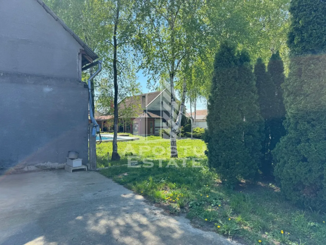 Casa de vanzare cu piscina si 5 camere in Dinias, Timis