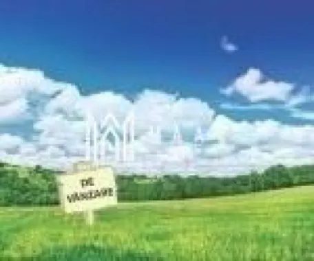 Teren Intravilan | 20.000 MP | Sibiu | Investitie