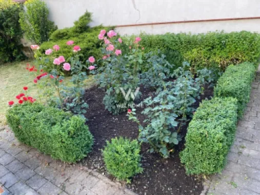 De inchiriat - Casa individuala intima cu teren mare in Avrig, Sibiu