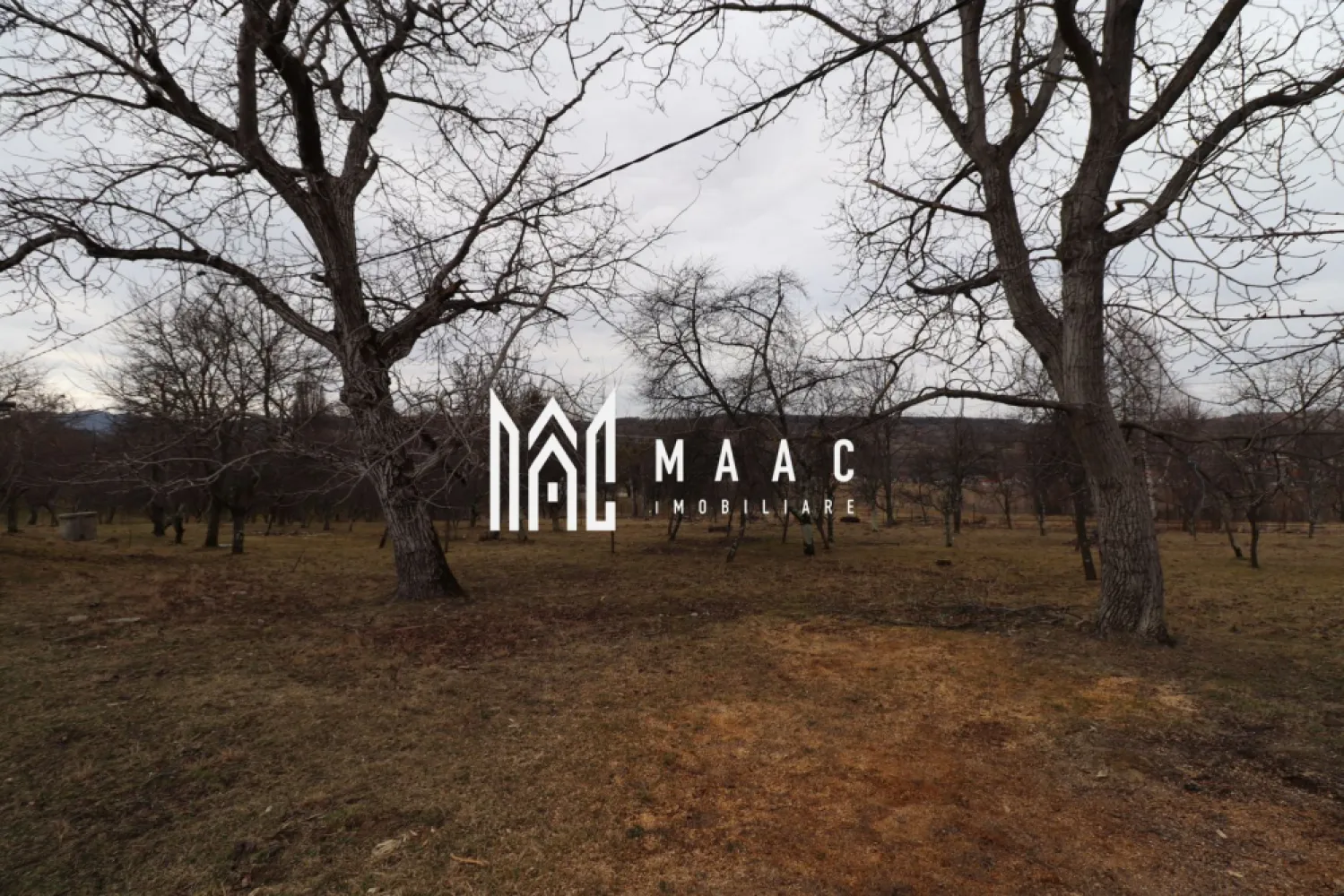 Casă individuală I 4 camere I teren 6000 mp I Cisnădie - MAAC Imobiliare propune spre vanzare o casă, cu atmosferă istorică, primitoare, insorită toată ziua, situată intr-o zonă liniștită din Cisnădie. Terenul pe care este situată locuința are suprafața de 6000 mp, imprejmuiți cu gard, aferent casei se află un garaj și in spate o anexă, mare parte a terenului este populată de pomi fructiferi (cireși, vișini, meri, peri, pruni, nuci). Suprafata de teren poate fi completata cu inca o portiune de 4080 mp pentru un pret negociabil stabilit la momentul achizitiei . Casa este structurată astfel: -parter: living, bucătărie inchisă, wc de serviciu, hol, casa scări -etaj: 3 camere decomandate, baie cu duș si geam, hol. Locuința are pivniță generoasă si terasă. Pentru mai multe informatii si vizionari precizati telefonic ca ati vazut anuntul cu ID: CP1442244 }}