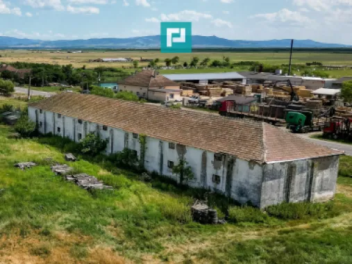 Hală industrială cu teren generos în Zărand, Arad