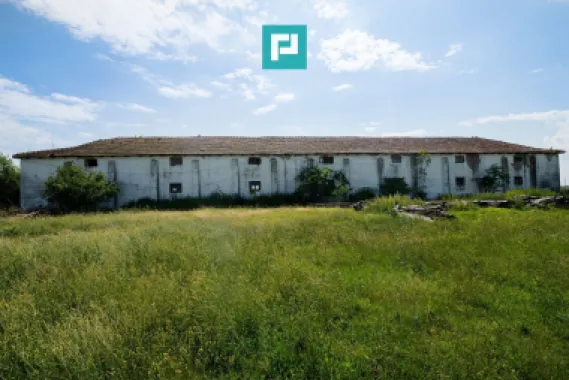 Hală industrială cu teren generos în Zărand, Arad
