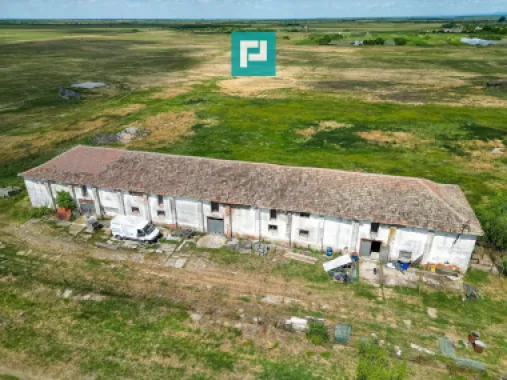 Hală industrială cu teren generos în Zărand, Arad