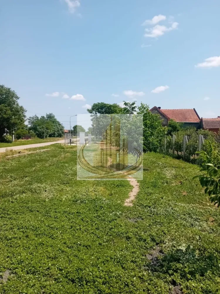 Vand/Schimb Livada Belint 16000mp