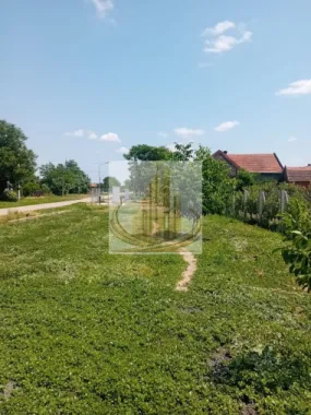 Vand/Schimb Livada Belint 16000mp