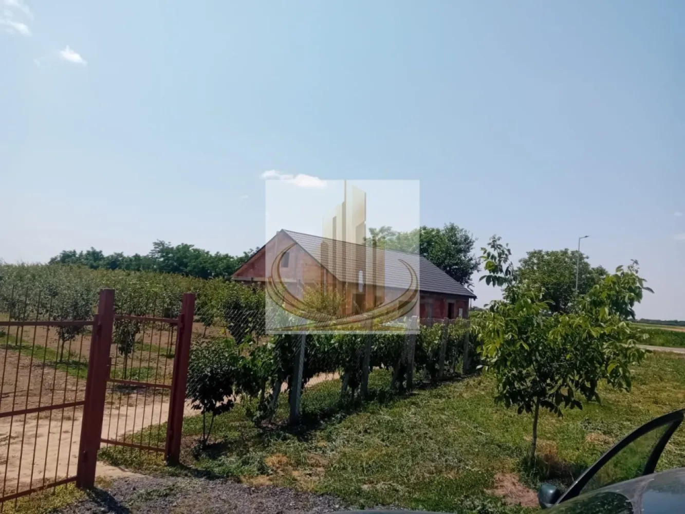 Vand/Schimb Livada Belint 16000mp