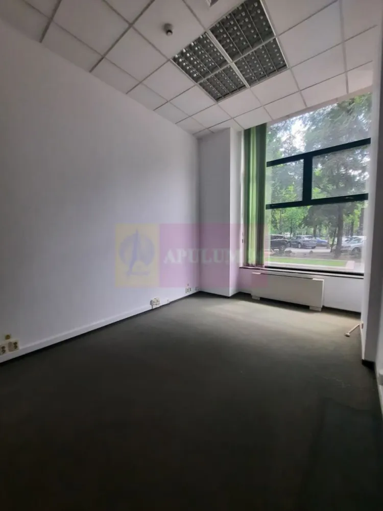 Inchiriere spatiu comercial bd Unirii, vitrina 25ml, stradal - Va oferim spre inchiriere un spatiu comercial pe bd Unirii, stradal, cu trafic intens, situat la parter de bloc, in suprafata utila de 435mp, cu front stradal generos de 25ml, cu grupuri sanitare. Spatiul dispune de intrare prin fata pentru clienti, si spate pentru acces marfa. 
Ideal orice tip de activitate: clinica medicala, showroom etc.
Exclus HoReCa. 
Nu se inchiriaza suprafete mai mici.
Pentru detalii suplimentare si vizionari contactati agentul Dona Camelia 0733683461