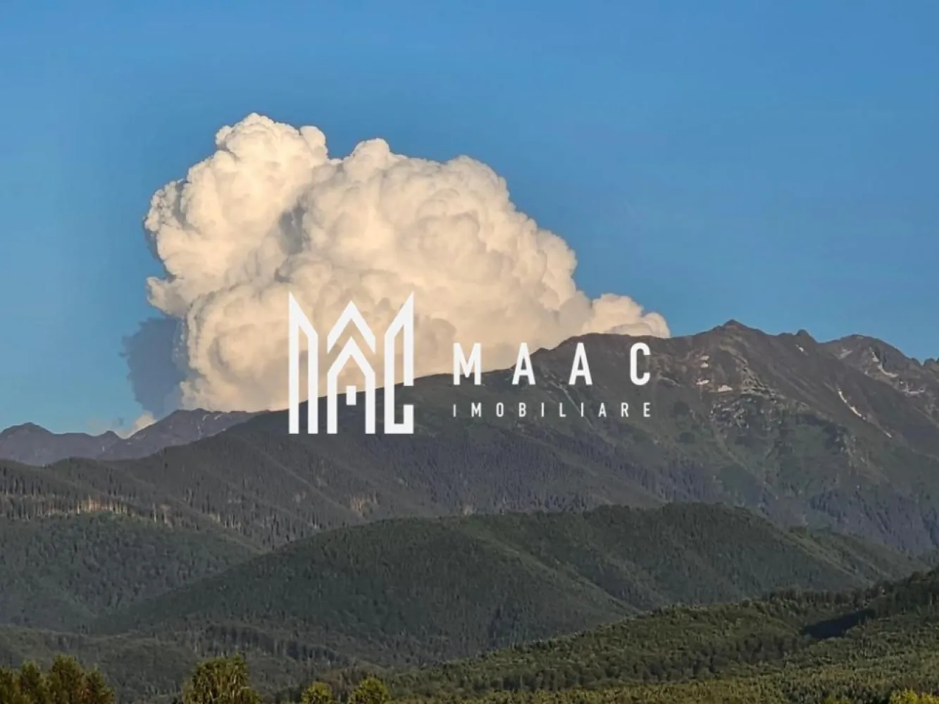 Vilă superbă | 4 camere | 500 mp teren | Vedere la munte | Valea Avrigului