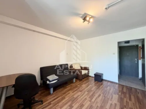 Apartament cu o camera de inchiriat, zona Brancoveanu, Timisoara