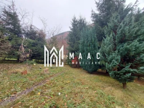 Casă | 260 mp utili | 1.100 mp teren | Râul Sadului |