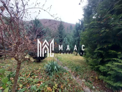 Casă | 260 mp utili | 1.100 mp teren | Râul Sadului |