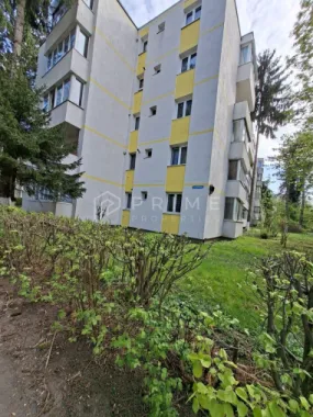 Apartament 3 camere parter | Dâmbu Pietros |