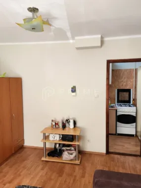 Apartament 1 camera Tudor | str Prieteniei parter |