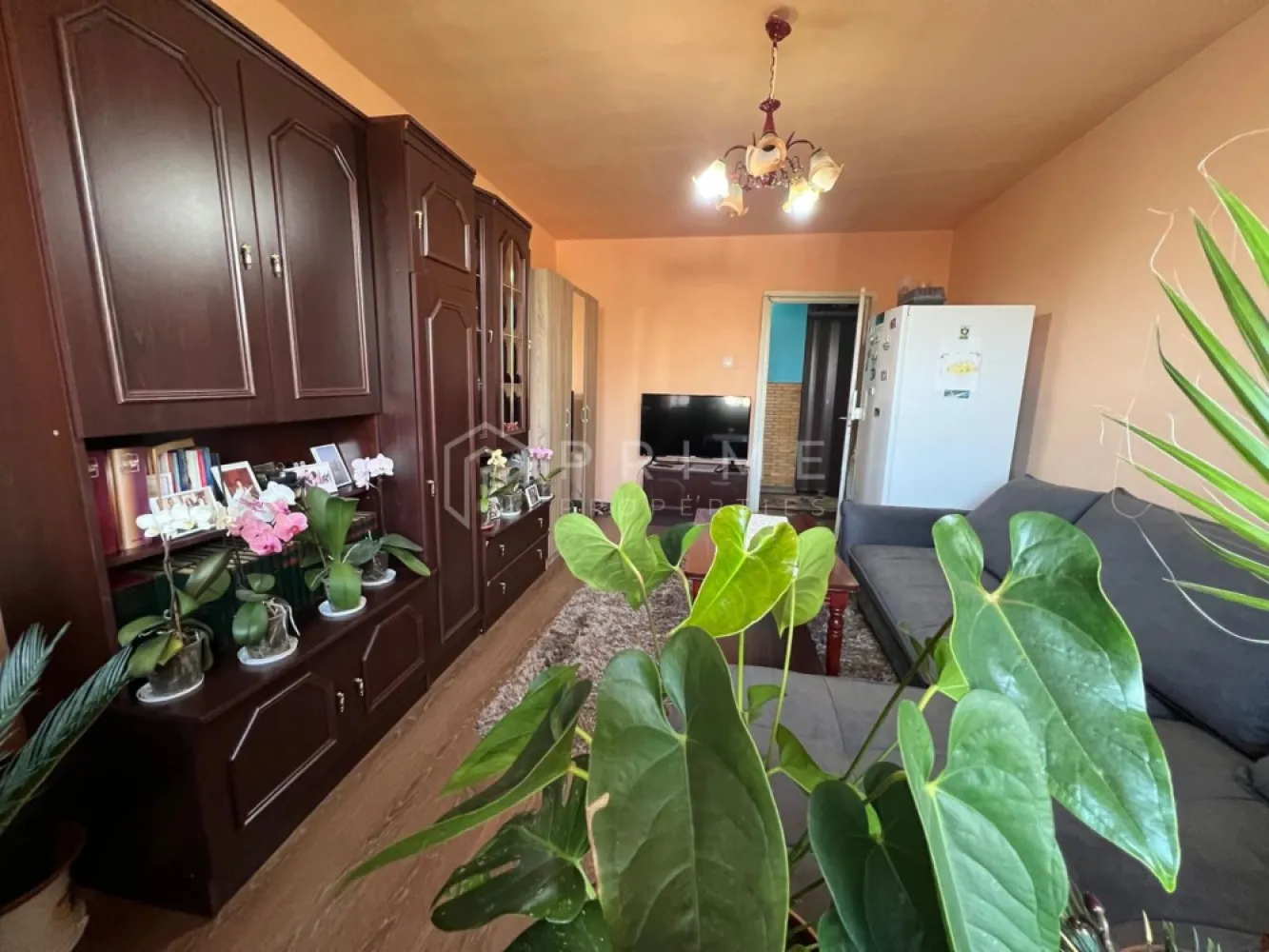 Apartament cu 3 camere decomandat, Sângeorgiu de Mureș - Vă propunem spre vânzare apartament cu 3 camere în regim decomandat, situat la parter, în Sângeorgiu de Mureș. 
Suprafața utilă de 70 mp este eficient compartimentată în living, două dormitoare. două băi separate, debara, cămară.
Apartamentul necesită lucrări de renovare, ceea ce îl face ideal atât pentru investitori, cât și pentru familiile care doresc să personalizeze spațiul după propriile preferințe.
Proprietatea se află la câțiva pași de magazinele de proximitate, școală generală, grădiniță, și de stația de transport în comun cu legătură directă spre Târgu Mureș. 

La Prime Properties, fiecare tranzacție înseamnă mai mult decât o simplă achiziție – este un proces complet, în care colaborăm cu cei mai buni profesioniști: notari, avocați, designeri, arhitecți, evaluatori, specialiști în certificate energetice, consultanți de credite imobiliare.
Astfel, atunci când alegi o proprietate prin noi, primești la pachet și siguranță, transparență și servicii impecabile pe tot parcursul drumului tău către casa ideală.
Ne dedicăm 100% fiecărui client, iar asta se reflectă în rezultate și în încrederea pe care o primim înapoi prin recomandările lor.
Proprietatea aceasta nu se potrivește exact nevoilor tale?
Lasă-ne să îți găsim alternativa potrivită. Agentul nostru îți va oferi soluții avantajoase și adaptate stilului tău de viață.
📞 Contactează-ne astăzi. Până acum nu am dezamăgit niciun client – și nu vom începe cu tine.
Comision 0% pentru cumpărători