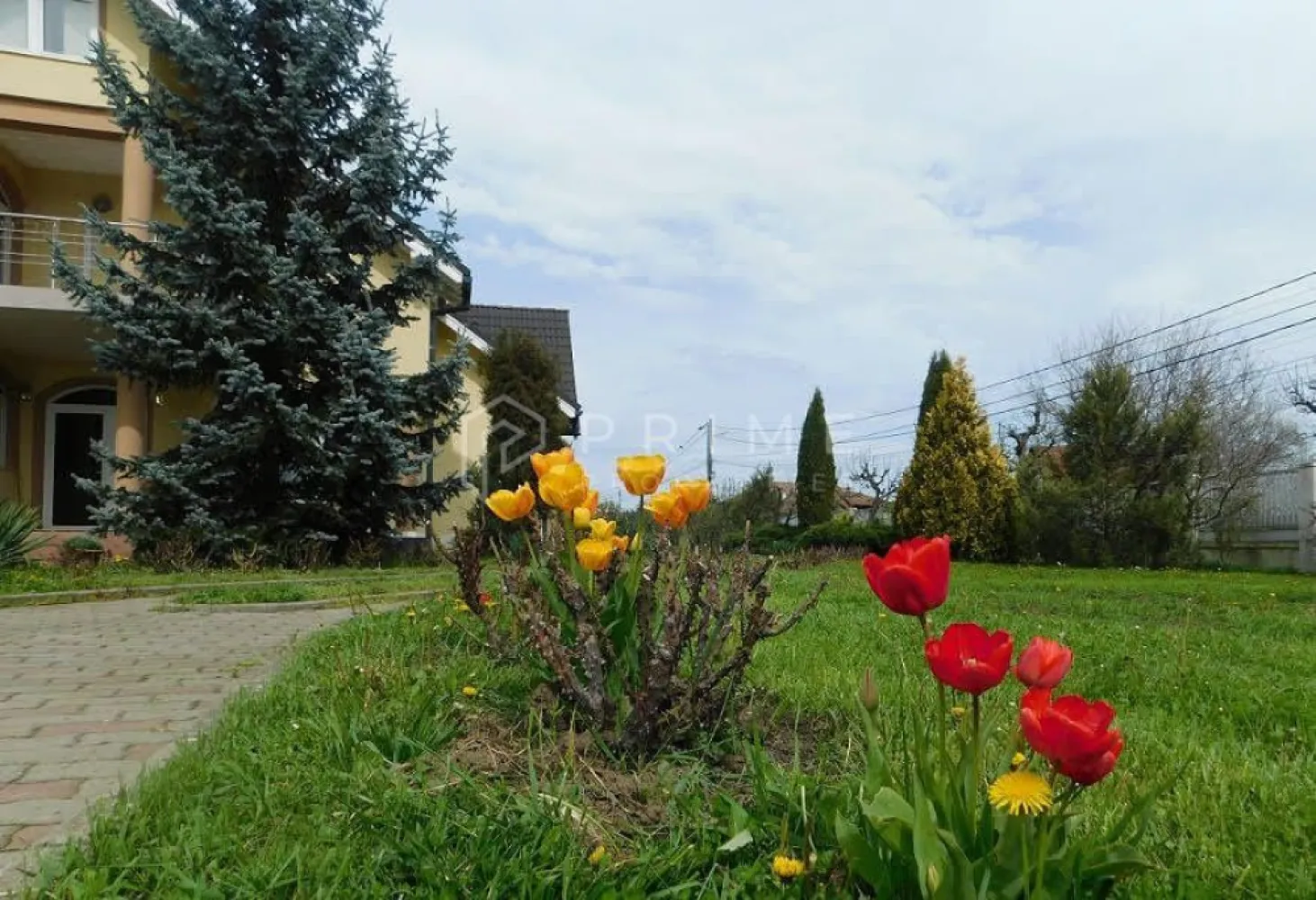 Reședință de lux cu potențial comercial –zonă Băi, Sângeorgiu de Mureș - Proprietate premium de vânzare – Sângeorgiu de Mureș, zona Băilor
Reședință de lux cu potențial rezidențial și comercial

Vă propunem spre vânzare o proprietate exclusivistă, situată în Sângeorgiu de Mureș, în apropierea Băilor, amplasată pe un teren generos de 1.500 mp. Proprietatea se remarcă prin suprafețele ample, finisajele de lux și versatilitatea funcțională, fiind potrivită atât ca locuință privată, cât și pentru activități comerciale sau instituționale.

Suprafață utilă casa : 386 mp
Teren: 1.500 mp
Preț: 410.000 €

Compartimentare și spații interioare:
Living spectaculos pe două niveluri
5 dormitoare
4 băi
Birou separat
Bucătărie spațioasă
Mansardă izolată (neamenajată – potențial de extindere)

Finisaje și dotări premium:
Pardoseli din lemn masiv la etaj
Pardoseli din marmură la parter
Construcție solidă, materiale de calitate superioară
Spații largi, luminoase, cu compartimentare eficientă

Anexe și facilități exterioare:
3 garaje
Curte amenajată + livadă
Construcție separată, complet funcțională, cu:
Bucătărie
Camere
Baie
Spații de cazare / birouri
Parcare pentru aproximativ 10 autoturisme

Avantaje competitive:
Proprietate rară, cu teren generos
Locație excelentă, cunoscută pentru liniște și aer curat
Potențial dublu: rezidențial + comercial
Ideală pentru clinică medicală, centru de recuperare, sediu de firmă, birouri, pensiune boutique sau reședință multifamilială

Potrivită pentru:
Familii care își doresc o locuință amplă și elegantă
Investitori interesați de conversie comercială
Activități medicale, wellness, birouri sau servicii premium

 Pentru detalii suplimentare, documentație sau programarea unei vizionări, vă invităm să ne contactați! 
Pentru clienții cumpărători, comisionul este 0%.
La Prime Properties, fiecare tranzacție înseamnă mai mult decât o simplă achiziție – este un proces complet, în care colaborăm cu cei mai buni profesioniști: notari, avocați, designeri, arhitecți, evaluatori, specialiști în certificate energetice, consultanți de credite imobiliare.
Astfel, atunci când alegi o proprietate prin noi, primești la pachet și siguranță, transparență și servicii impecabile pe tot parcursul drumului tău către casa ideală.
Ne dedicăm 100% fiecărui client, iar asta se reflectă în rezultate și în încrederea pe care o primim înapoi prin recomandările lor.
Proprietatea aceasta nu se potrivește exact nevoilor tale?
Lasă-ne să îți găsim alternativa potrivită. Agentul nostru îți va oferi soluții avantajoase și adaptate stilului tău de viață.
📞 Contactează-ne astăzi. Până acum nu am dezamăgit niciun client – și nu vom începe cu tine.