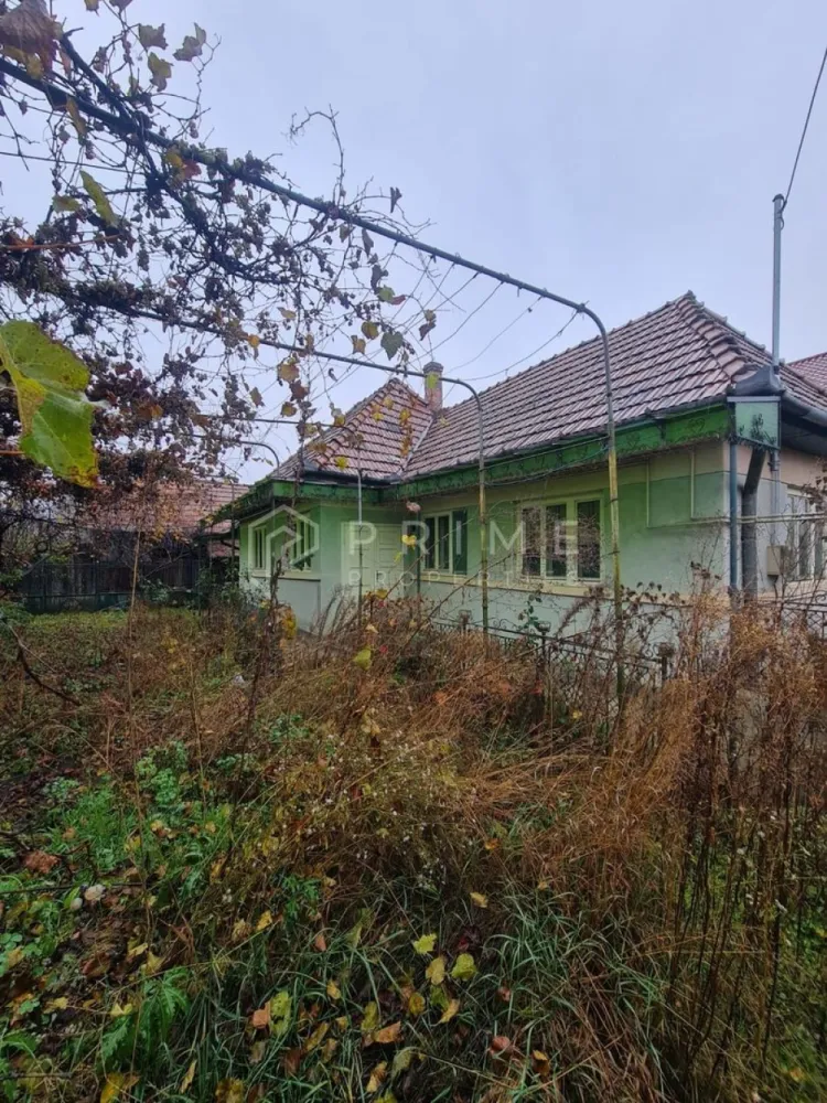 Casă cu teren de 1.000 m² – utilități complete, ideală pentru renovare - Vă propunem spre vânzare o casă cu potențial excelent, amplasată într-o zonă liniștită, ideală pentru o familie care își dorește un spațiu generos și libertatea de a o amenaja după propriul gust.

Proprietatea este amplasată pe un teren de 10 ari (1.000 m²), cu deschidere la stradă de 17 metri, și dispune de toate utilitățile: apă, curent electric, gaz și canalizare.

Detalii proprietate:
- Suprafață teren: 1.000 m² (10 ari)

Casă compusă din:
- 3 dormitoare
- Bucătărie
- Hol
- Baie
- Cămară

Anexe: grajd, afumătoare, pivniță, grădină amplasată în spatele gospodăriei

Utilități:
- Apă
- Gaz
- Curent electric
- Canalizare

Casa necesită renovare, dar oferă o bază solidă pentru un proiect de modernizare, având avantajul unui teren mare, compartimentare funcțională și toate utilitățile deja racordate.

La Prime Properties, fiecare tranzacție înseamnă mai mult decât o simplă achiziție – este un proces complet, în care colaborăm cu cei mai buni profesioniști: notari, avocați, designeri, arhitecți, evaluatori, specialiști în certificate energetice, consultanți de credite imobiliare.
Astfel, atunci când alegi o proprietate prin noi, primești la pachet și siguranță, transparență și servicii impecabile pe tot parcursul drumului tău către casa ideală.

Ne dedicăm 100% fiecărui client, iar asta se reflectă în rezultate și în încrederea pe care o primim înapoi prin recomandările lor.
Proprietatea aceasta nu se potrivește exact nevoilor tale?

Lasă-ne să îți găsim alternativa potrivită. Agentul nostru îți va oferi soluții avantajoase și adaptate stilului tău de viață.
📞 Contactează-ne astăzi. Până acum nu am dezamăgit niciun client – și nu vom începe cu tine.
Comision 0% pentru cumpărători