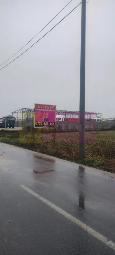 Dragomiresti-Vale, lângă Șoseaua de Centură, pretabil hale, productie - Terenul se află în Dragomirești Vale, lângă Centura de Vest a capitalei DNCB, pe str Piersicului, cu acces direct pe Șoseaua de Centură. Este intravilan si este potrivit pentru hale si constructii cu destinație industrială, comercială. Are rețeaua de curent electric pe loc si cea de gaze în apropiere. Preț 240.000 EUR, negociabil