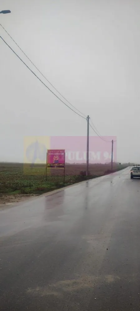 Dragomiresti-Vale, lângă Șoseaua de Centură, pretabil hale, productie - Terenul se află în Dragomirești Vale, lângă Centura de Vest a capitalei DNCB, pe str Piersicului, cu acces direct pe Șoseaua de Centură. Este intravilan si este potrivit pentru hale si constructii cu destinație industrială, comercială. Are rețeaua de curent electric pe loc si cea de gaze în apropiere. Preț 240.000 EUR, negociabil